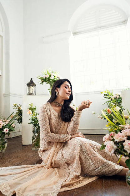 WEDDING AND PARTY WEAR COLLECTION